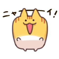 [LINEスタンプ] しかくい猫 ちゃとら