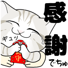 [LINEスタンプ] 抱っこ猫 LOVE＆感謝篇の画像（メイン）