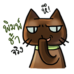 [LINEスタンプ] Cat's typed