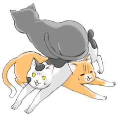 [LINEスタンプ] 夏木くん家の猫たち