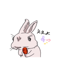 [LINEスタンプ] ぱぴこの日常 fetchpriority=high