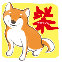 [LINEスタンプ] 柴犬ちゃん（赤柴） 