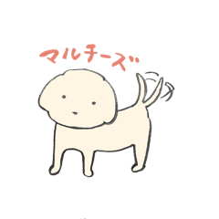 [LINEスタンプ] マルチーズ犬の日常