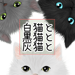 [LINEスタンプ] 白猫と黒猫と灰猫との画像（メイン）