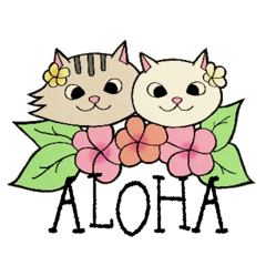 [LINEスタンプ] Hawaiian cats LOCO＆MOCOの画像（メイン）