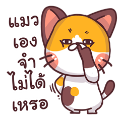 [LINEスタンプ] This is a cat！