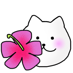 [LINEスタンプ] 夏に使えるにゃんこ