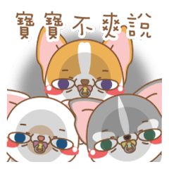 [LINEスタンプ] dog and cat are crazy