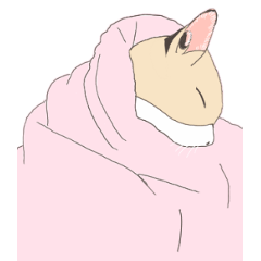 [LINEスタンプ] おふとぅんねこ