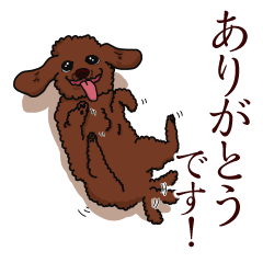 [LINEスタンプ] トイプードルの敬語スタンプ