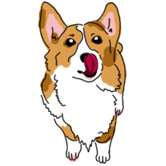 [LINEスタンプ] Corgi Wawa has come