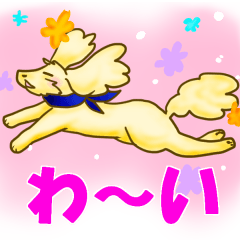 [LINEスタンプ] 今日も今日とてアポロン