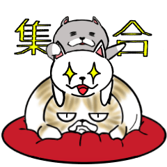 [LINEスタンプ] ねこ3兄弟