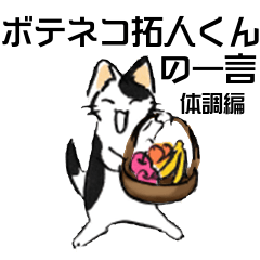 [LINEスタンプ] ボテ猫たくとくん