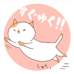 [LINEスタンプ] にゃんこ まめたの日常会話