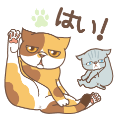 [LINEスタンプ] ネコでごめん〜おどけるブサ猫 デカ文字〜の画像（メイン）