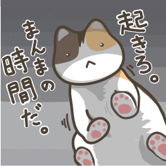 [LINEスタンプ] ネコ中心的生活