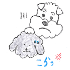 [LINEスタンプ] トイプーとシュナウザー