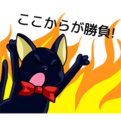 [LINEスタンプ] 黒猫とペルシャの日常