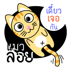 [LINEスタンプ] Dip a Cat