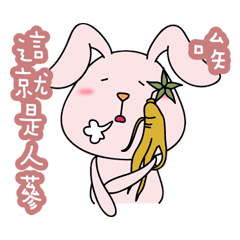 [LINEスタンプ] Hippie Cat ＆ Ditzy Rabbit