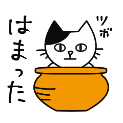 [LINEスタンプ] つぼ猫による返事がしやすいスタンプ