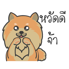 [LINEスタンプ] Pomeranian Brownie ＆ friends