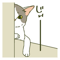 [LINEスタンプ] うちのねこさま