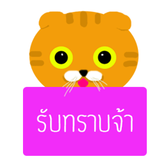 [LINEスタンプ] Two cats to sell
