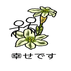 [LINEスタンプ] 花とこびと