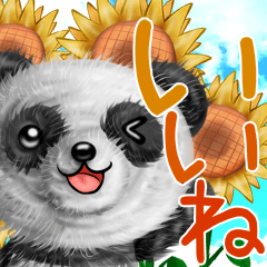 [LINEスタンプ] モフ☆パンダの夏の画像（メイン）
