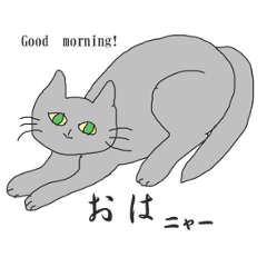 [LINEスタンプ] 猫と猫友たちの日常会話集