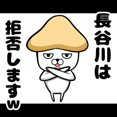 [LINEスタンプ] 私、長谷川ですが…（スタンプ/40個）