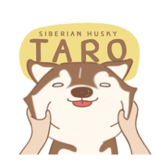 [LINEスタンプ] Taro Siberian Husky 1 (animated ver.)の画像（メイン）