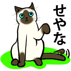 [LINEスタンプ] シャムが好き