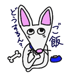 [LINEスタンプ] ハクちゃんの伝言