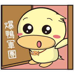 [LINEスタンプ] BAO duck (good Morning)