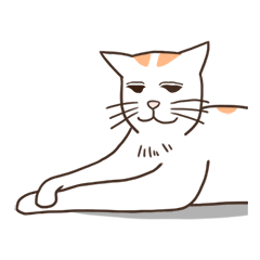 [LINEスタンプ] Orange white cat "FARDI"