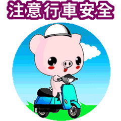 [LINEスタンプ] Sunny Day Pig (Convenience Stickers)