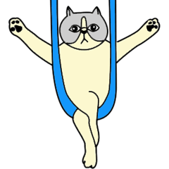 [LINEスタンプ] エアリアルヨギネコ「エアル」