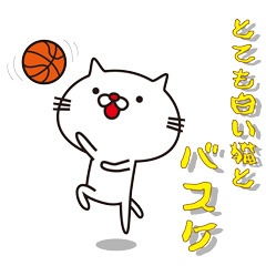 [LINEスタンプ] とても白い猫とバスケットボールの画像（メイン）