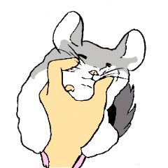 [LINEスタンプ] 癒しのチンチラ40連発。