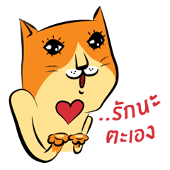 [LINEスタンプ] NaaDed-Orange cat