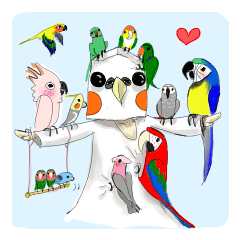 [LINEスタンプ] インコ大好き！ いきいきインコスタンプ