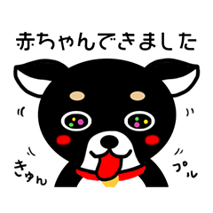 [LINEスタンプ] チワワ妊婦