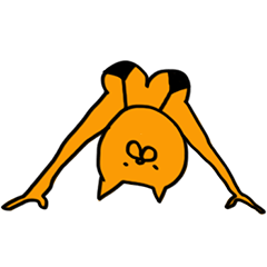 [LINEスタンプ] グラビアねこ