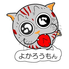 [LINEスタンプ] 博多猫 男の子編