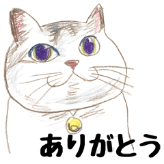 [LINEスタンプ] 手描き・猫ちゃん
