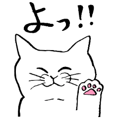 [LINEスタンプ] 全国の猫好きさんへ