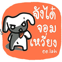 [LINEスタンプ] Jungdai serious dog